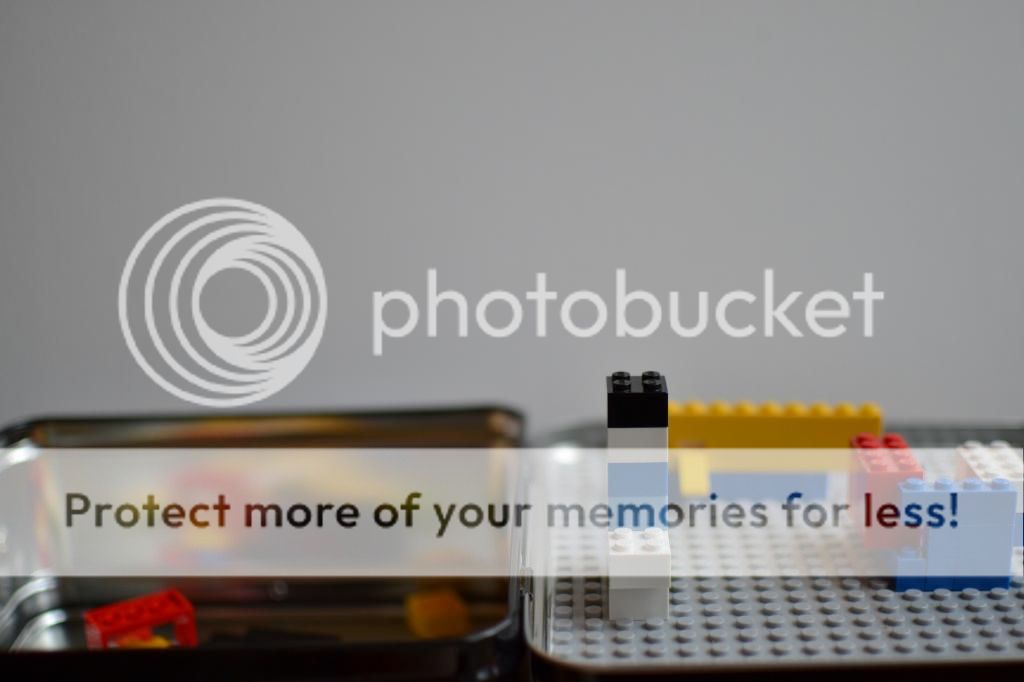  photo DSC_0168_zps05df705f.jpg