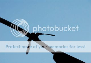 IMAGE: http://i751.photobucket.com/albums/xx153/Noah212/BirdonLightPost.jpg