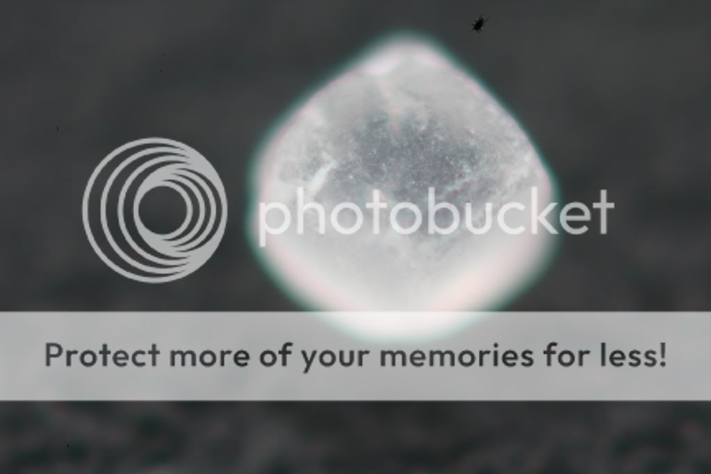 IMAGE: http://i751.photobucket.com/albums/xx153/Noah212/IMG_8388.jpg