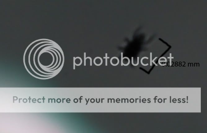 IMAGE: http://i751.photobucket.com/albums/xx153/Noah212/Mite.jpg