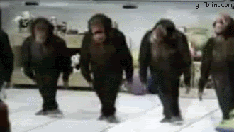 [img width=330 height=186]http://i751.photobucket.com/albums/xx157/Jreid1313/1238512403_dancing_chimps.gif[/img]