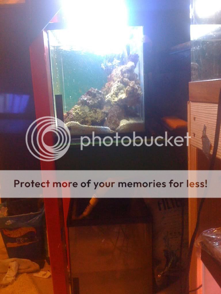 step by step hob or external overflow directions and tips The Reef Tank